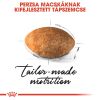 Royal Canin Persian Adult - Perzsa felnőtt macska száraz táp  400 g