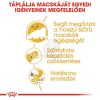 Royal Canin Persian Adult - Perzsa felnőtt macska száraz táp  400 g