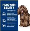 Hill's Prescription Diet b/d Ageing and Alertness Care száraz kutyatáp  12 kg
