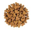 Royal Canin Feline Fibre Response Dry 31  4 kg