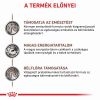 Royal Canin Feline Gastrointestinal  4 kg