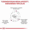 Royal Canin Feline Renal Select  2 kg
