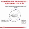 Royal Canin Adult Small Dog  8 kg