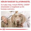 Royal Canin Adult Small Dog  8 kg