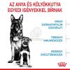 Royal Canin Maxi Starter - nagy testű kölyök és vemhes kutya száraz táp  4 kg