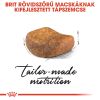 Royal Canin British Shorthair Adult - Brit rövidszőrű felnőtt macska száraz táp  400 g