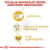 Royal Canin British Shorthair Adult - Brit rövidszőrű felnőtt macska száraz táp  400 g