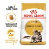 Royal Canin Maine Coon Adult - Maine Coon felnőtt macska száraz táp  400 g