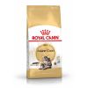 Royal Canin Maine Coon Adult - Maine Coon felnőtt macska száraz táp  400 g