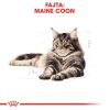 Royal Canin Maine Coon Adult - Maine Coon felnőtt macska száraz táp  400 g