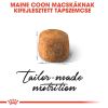 Royal Canin Maine Coon Adult - Maine Coon felnőtt macska száraz táp  400 g
