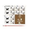 Royal Canin Ageing 12+ - idős macska száraz táp  2 kg