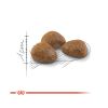 Royal Canin Outdoor 7+ - szabadba gyakran kijáró, aktív idősödő macska száraztáp  2 kg