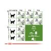 Royal Canin Outdoor 7+ - szabadba gyakran kijáró, aktív idősödő macska száraztáp  2 kg