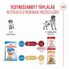 Royal Canin Medium Puppy - közepes testű kölyök kutya száraz táp  15 kg
