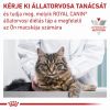 Royal Canin Feline Urinary S/O 34  7 kg