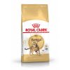 Royal Canin Bengal Adult - Bengáli felnőtt macska száraz táp  400 g