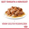 Royal Canin Hairball Care - szószos nedves táp felnőtt macskák részére a szőrlabdák könnyebb eltávozásáért  85 g