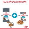 Royal Canin Urinary Care - szószos nedves táp felnőtt macskák részére az alsó húgyúti problémák megelőzéséért  85 g