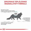 Royal Canin Anallergenic macskáknak  2 kg