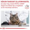 Royal Canin Anallergenic macskáknak  2 kg