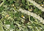 JR Farm Gyógynövény Kert  100 g