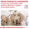 Royal Canin Early Renal  7 kg