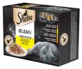 Sheba Delicacy alutasakos eledel - szárnyas válogatás 40 x  85 g