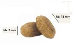 Dog’s Favorite Chunks with Beef  15 kg