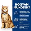 Hill's Prescription Diet c/d Multicare Urinary Care száraz macskatáp  12 kg