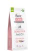 Brit Care Dog Sustainable Sensitive  12 kg