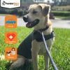 ThunderShirt nyugi mellény kutyáknak  S db