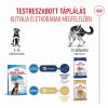 Royal Canin Maxi Puppy - nagytestű kölyök kutya száraz táp  3 kg