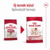 Royal Canin Medium Adult - közepes testű felnőtt kutya száraz táp  15 kg