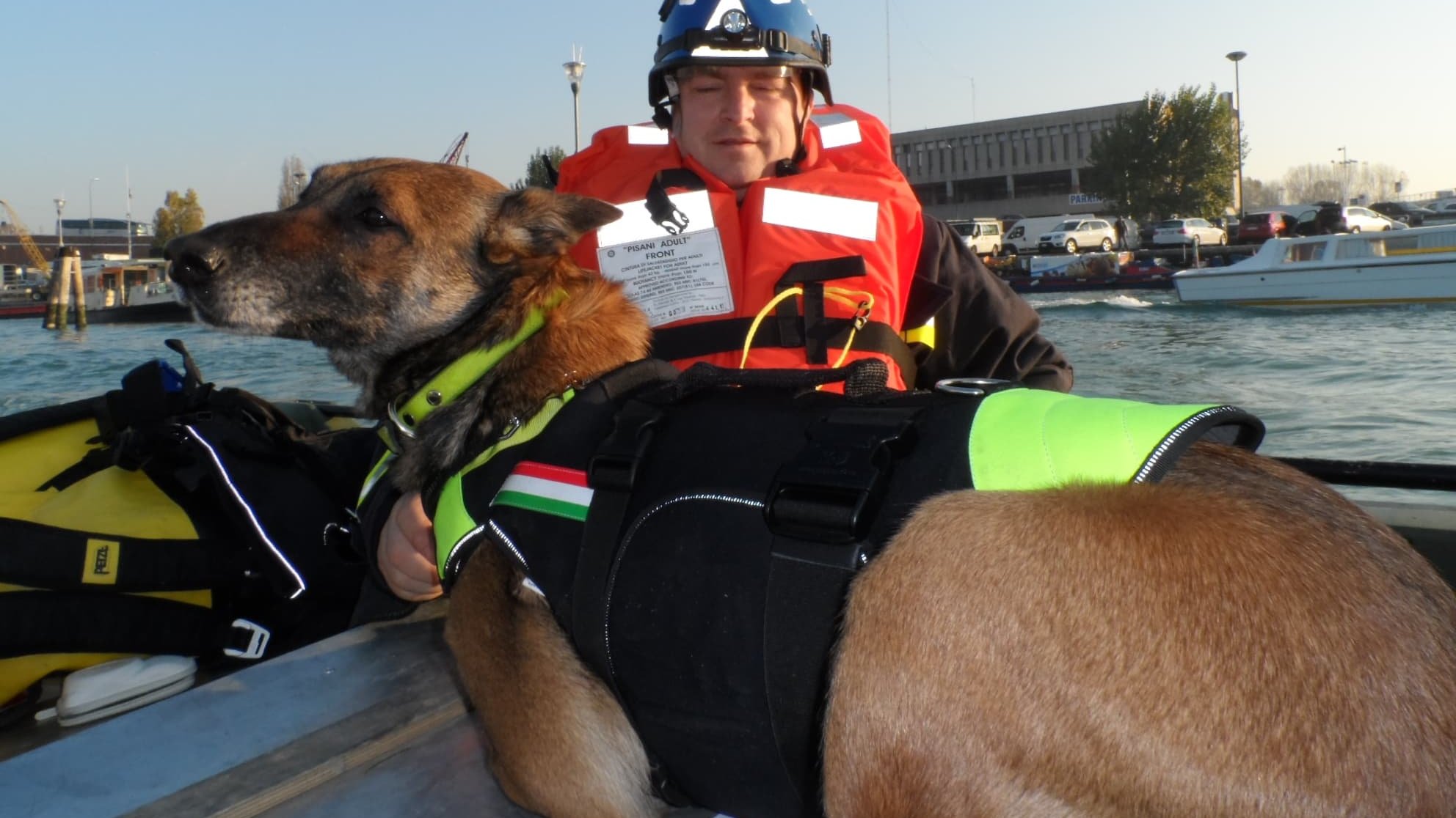 malinois mentőkutya csónakban