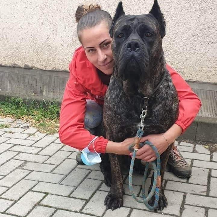 nő öleli cane corsoját