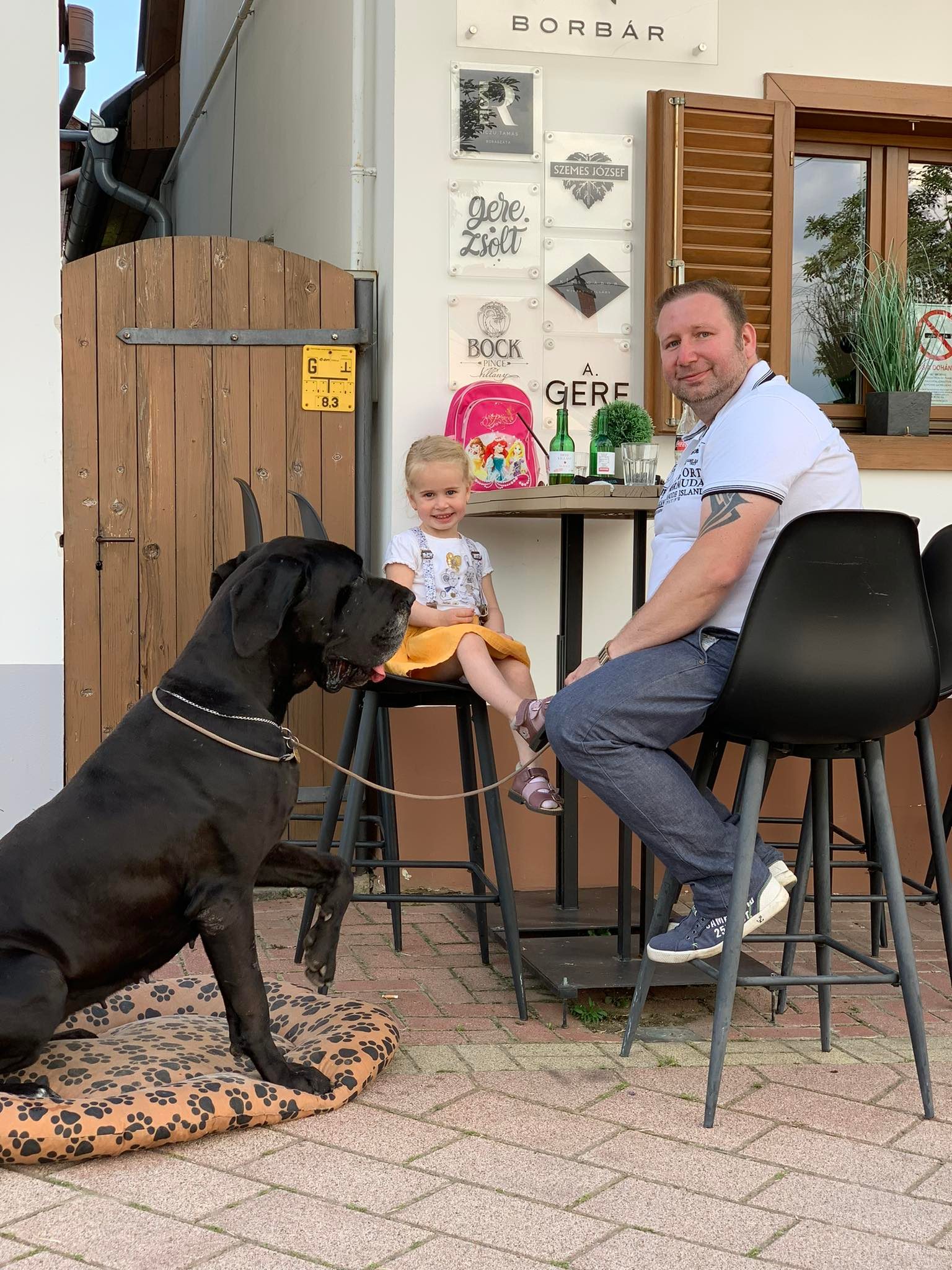 férfi, kislányával és doggal étterem taraszán