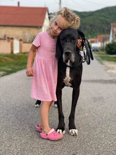 kislány doggal