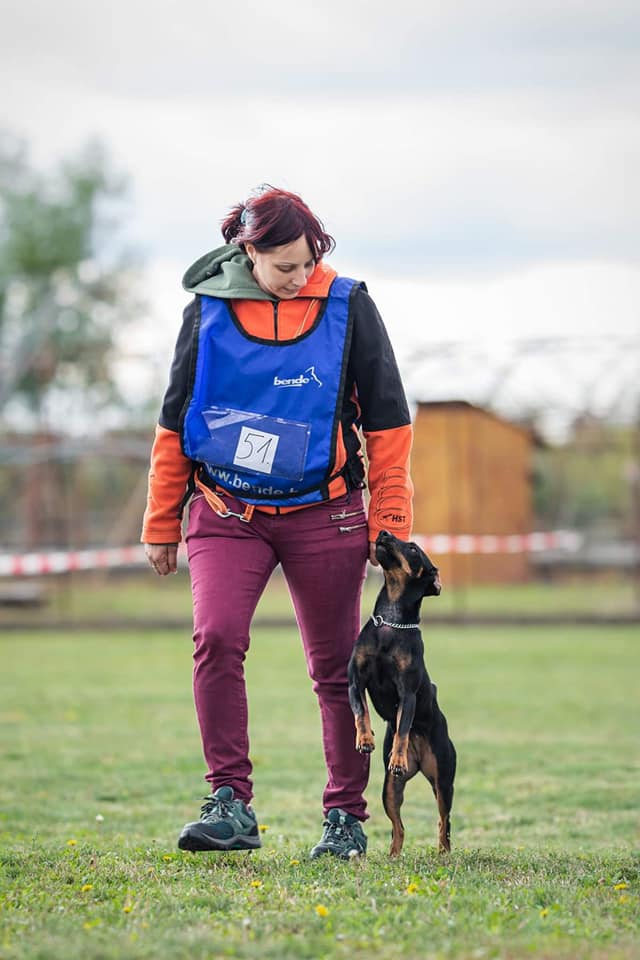 jagd terrier gazdájával sportol