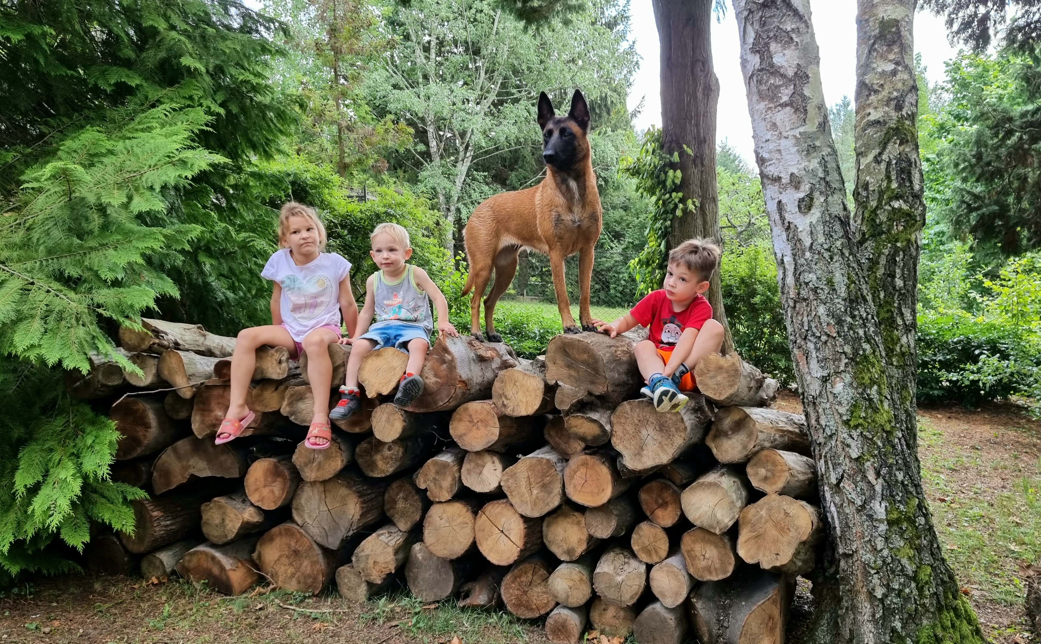 malinois gyerekkel farakáson